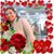 Renu Verma's profile image