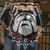 Bobby Shane Kendricks's profile image