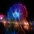 Maggie Shafer's profile image
