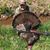 John Tallman's profile image