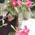 Vidhi Parmar's profile image