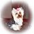 Stacey Phillips's profile image