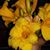 Gail Banks's profile image