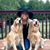 Laurel Lukken's profile image