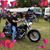 Donna Phillips Craig's profile image