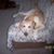 Karen Shaver's profile image