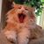 Michelle Peterman's profile image