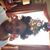 Karen Thompson's profile image
