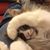 Tammie Fehn's profile image