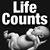 Kenneth E MacAlister Jr's profile image