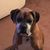 Ricky Andrea Gold's profile image