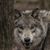 Alan Quarles's profile image
