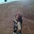Diane Strauss's profile image