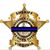 Anne Whitlock Siever's profile image
