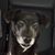 Jenny Bradley Parris's profile image