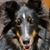 Kathleen McKnight's profile image