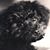 Lindsay Paetznick's profile image