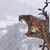 Mitzi Grondin's profile image