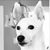 Darlene Bercegeay Taillon's profile image