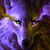 Debbie Warren's profile image
