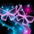 Denise Eickmeyer's profile image