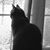 Barb Raines's profile image