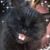 Terri Reid Merrill's profile image