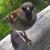 Maggie Cantwell's profile image