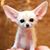 Dawn McKee's profile image