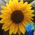 Deanna Tratensek's profile image