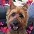 Stacia Turkenburg's profile image