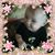 Angela Arthur Seay's profile image