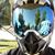 Luke Norman's profile image