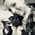 Olivia Nicole Kivett's profile image