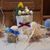 Colleen Kucirka's profile image