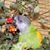 Birgit Mei's profile image