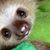 Stephanie Greenall's profile image