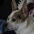 Debra May's profile image