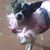 Sue Guenot's profile image
