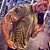 Aaron Zona's profile image