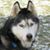 Pat Ann Sebeck Hickle's profile image