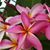 JanEll Cooper's profile image