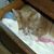 Barbara Wera's profile image