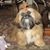 Terresa Cordell Mccabe's profile image