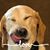 Kristi Peterson's profile image