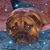 Debbie Loris's profile image