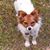 Kathie Wosika's profile image
