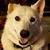 Sherri Wilkins's profile image