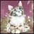 Terry O'Neil's profile image