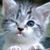 Bonnie Lash's profile image